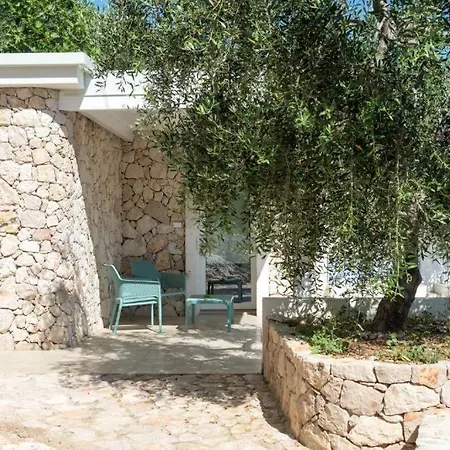 Montelci Маттината