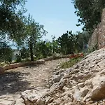 Montelci