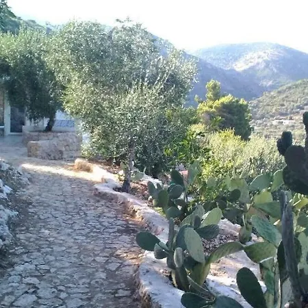 Apart Otel Montelci 3*