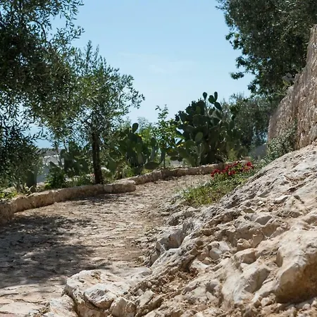 Montelci