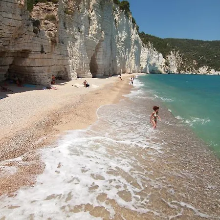 Montelci